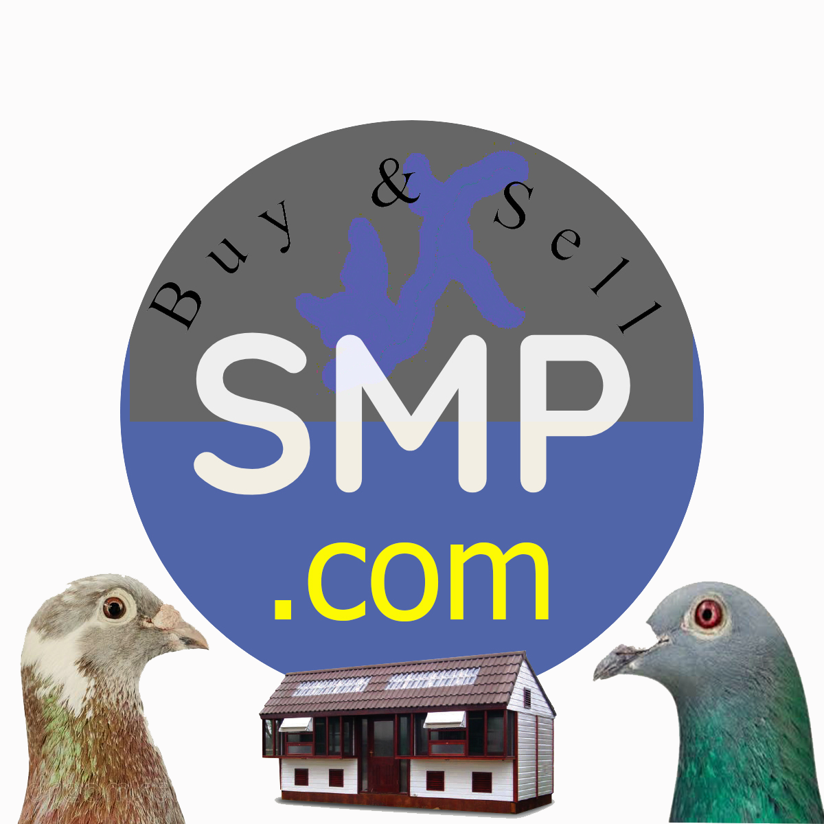 www.sellmypigeons.com